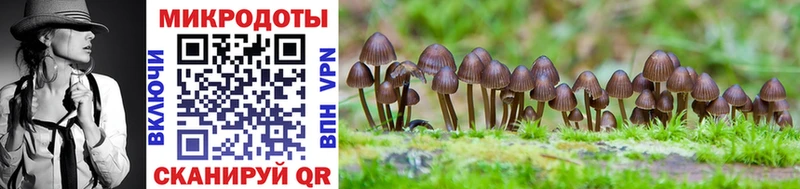 Галлюциногенные грибы MAGIC MUSHROOMS  Купить закладки  Волжский 